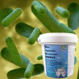 Bio Aquatic Bacteria Boost 32 Oz