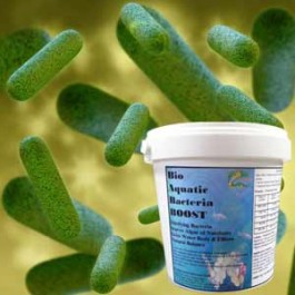 Bio Aquatic Bacteria Boost 16 Oz