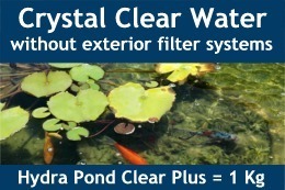 Vert d'eau Algues traitement Hydra Pond Clear plus 